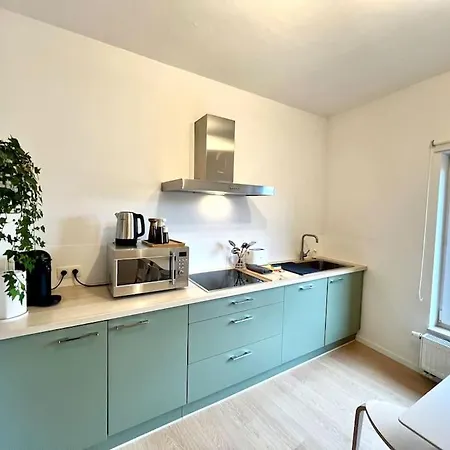 Apartment Duplex Chic Et Spacieux - Hypercentre