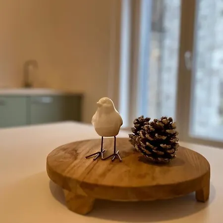 Duplex Chic Et Spacieux - Hypercentre Apartment