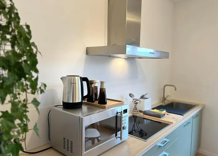 Duplex Chic Et Spacieux - Hypercentre *