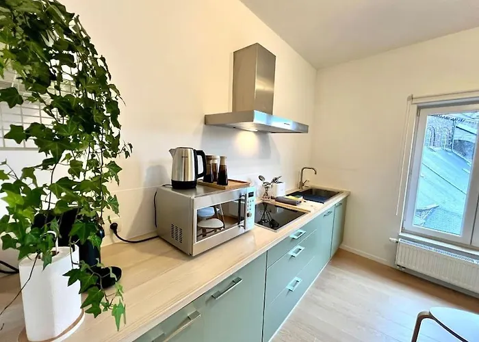 Duplex Chic Et Spacieux - Hypercentre Lägenhet Liège